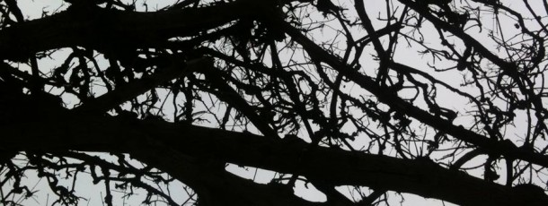 05 – Photo (incendie universel)