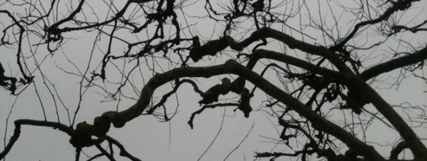 31 – Photo